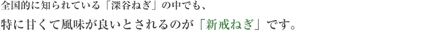 全国的に知られている「深谷ねぎ」の中でも、特に甘くて風味が良いとされるのが「新戒ねぎ」です。